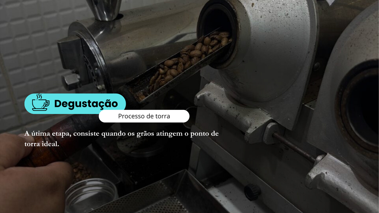 Grãos atingindo o ponto de torra ideal