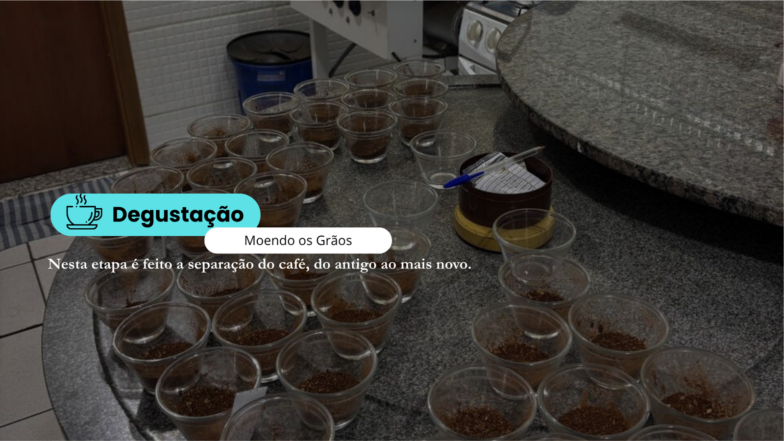 Separação de cafés para degustação